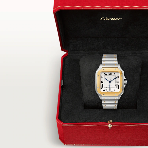 SANTOS Gold Mix 39mm W2SA0009