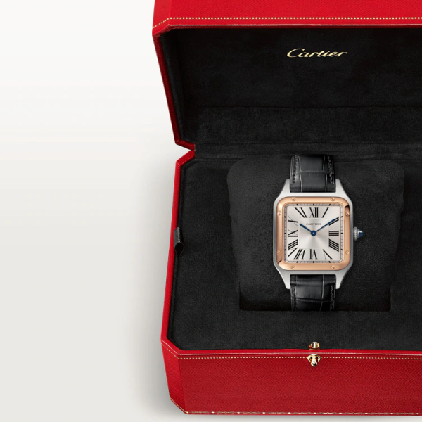 SANTOS-DUMONT RoseGoldMix W2SA0011