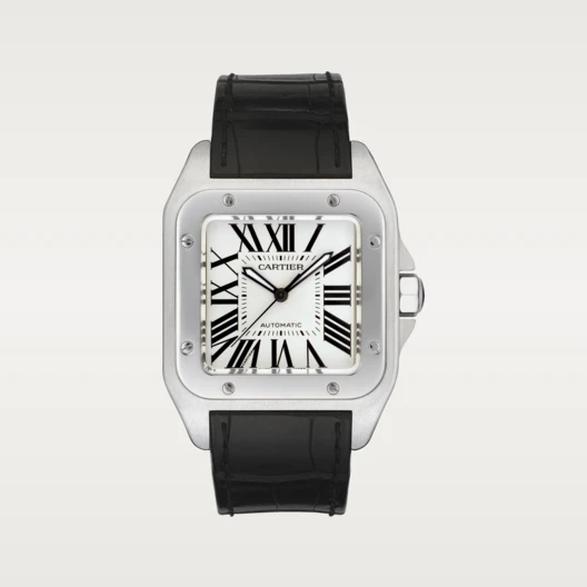 Cartier  Santos 100 41.3 Stainless Steel / Silver- W20073X8