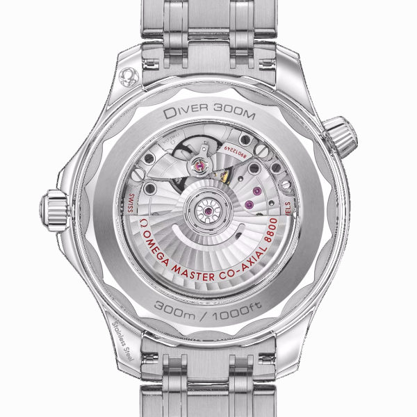 Omega Seamaster Diver 300M Master Co-Axial 210.30.42.20.03.001