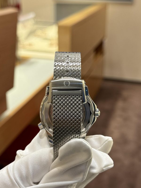 Omega Seamaster Diver 300M 42mm Steel on Steel  210.30.42.20.01.010