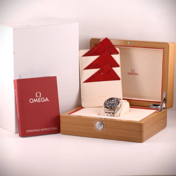 Omega Seamaster Diver 300M Master 210.20.42.20.01.001