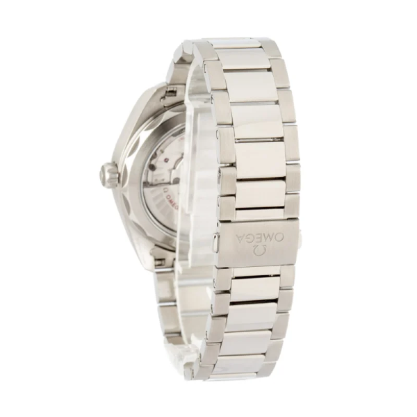 Seamaster Aqua Terra 150M 41 mm, steel on steel 220.10.41.21.03.001