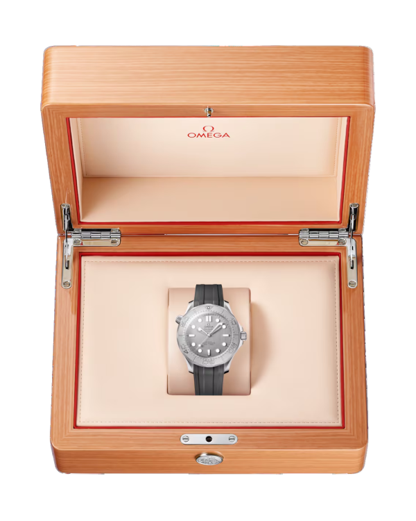 Omega Seamaster Diver 300M No-Date 210.32.42.20.06.002